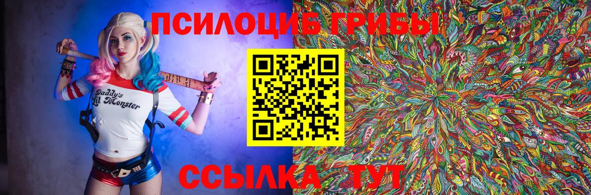 Псилоцибиновые грибы GOLDEN TEACHER Новочеркасск